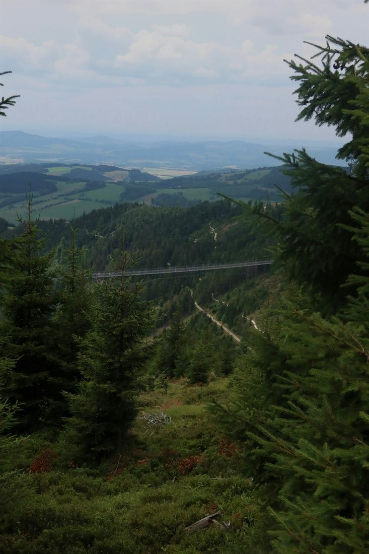 Sky Bridge 721 — Dolní Morava, Králický Sněžník (6)